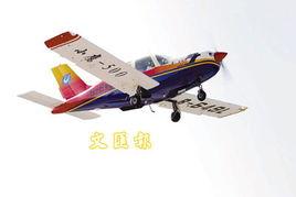 国产载人小飞机视频