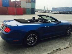 国产小敞篷评测视频下载,驾驭风华，尽享速度与激情