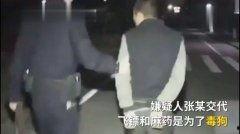 国产大学生拳交在线视频,大学生拳交激战在线